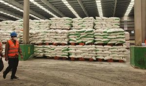 Equityworld Futures Surabaya | Menteri Pertanian: Empat Negara Mau Impor Pupuk Indonesia