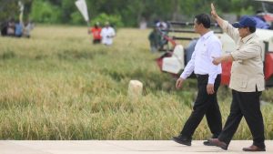 Equityworld Futures Surabaya | Apa Saja Tugas Mentan Amran di BUMN Pangan