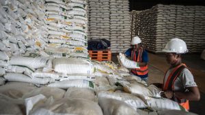 Equityworld Futures Surabaya | Bulog Tetapkan 88 Lokasi Pembangunan Gudang