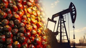 Perang Belum Berakhir, Begini Kinerja CPO dan Batubara Sepekan | Equityworld Futures