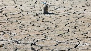 Equityworld Futures Surabaya | Ngeri! FAO Ungkap Cuaca Ekstrem Bisa Rusak Panen Dunia