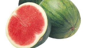 Equityworld Futures Surabaya | China Jadi Raja Semangka Dunia, Produksi RI Tak Ada Apa-apanya