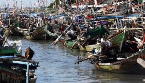 Equityworld Futures Surabaya | Nelayan Indramayu Pilih Parkir Kapal, Tak Bisa Beli Solar