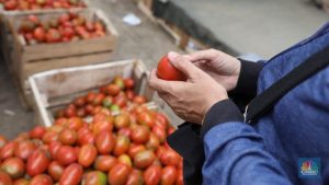 Equityworld Futures Surabaya | Tomat RI Makin Diburu Dunia, Negara Ini Jadi Pembeli Terbesar