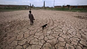 Equityworld Futures Surabaya | El Nino Terkuat Seabad Mengintai, Sanggupkah Asia Penuhi Bahan Pangan?