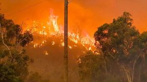 Equityworld Futures Surabaya | 8 Kebakaran Hutan Terbesar dalam Sejarah Dunia, Ada RI?